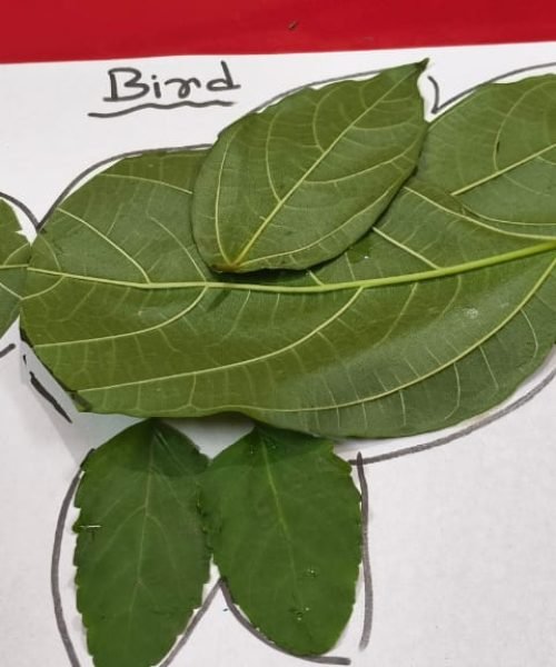 WhatsApp Image 2025-12-08 at 1.03.45 AM