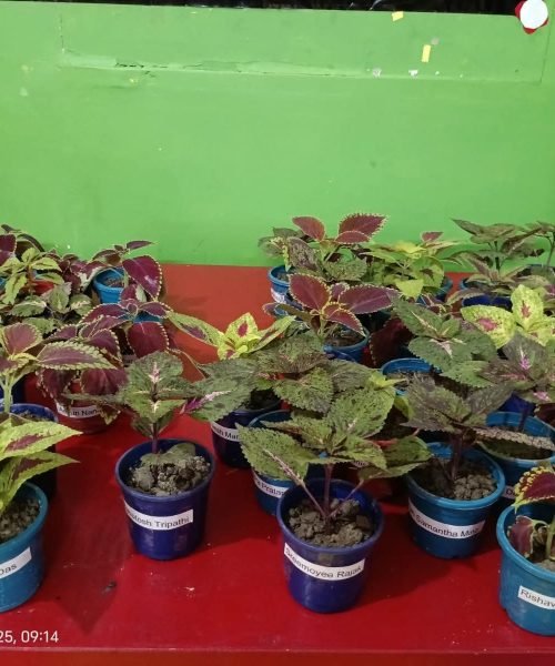 WhatsApp Image 2026-01-19 at 4.49.47 AM-3