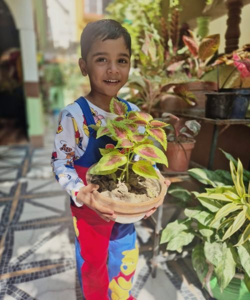 WhatsApp Image 2026-01-19 at 4.49.48 AM-2